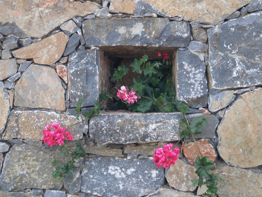 Villa Tholos Crete Kavousi  Exterior photo